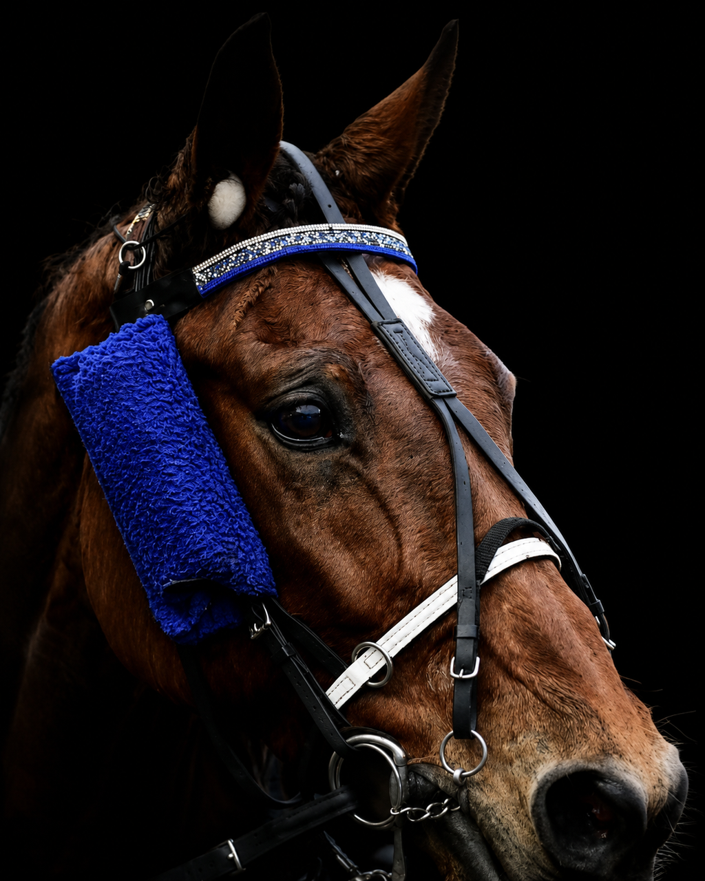 Frontal Droit cristaux