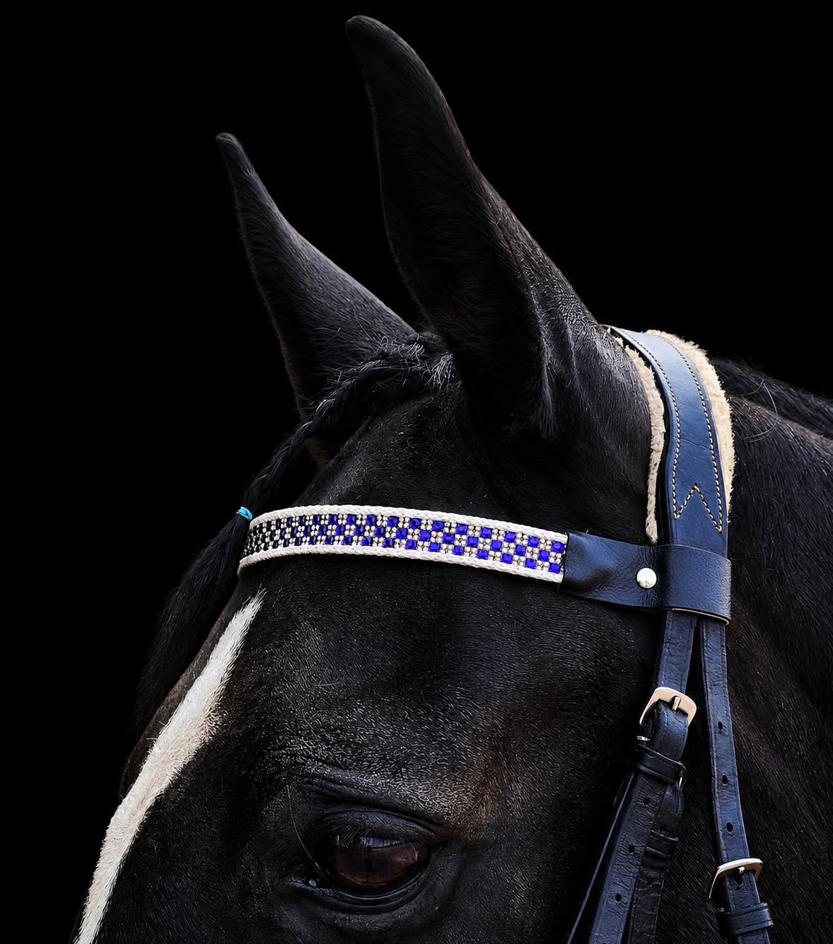 Frontal Damier droit
